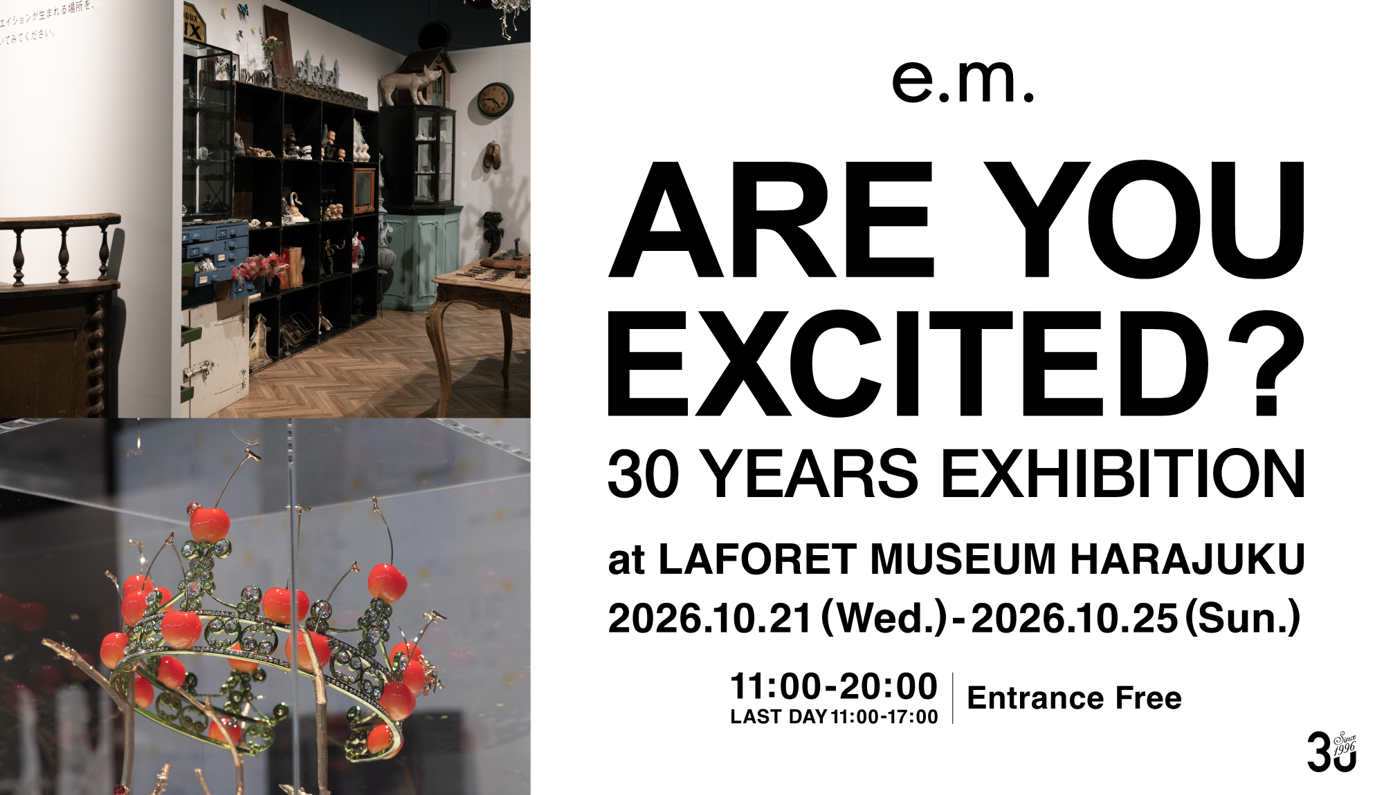 e.m. 30YEARS EXHIBITION 【 ARE YOU EXICITED?】