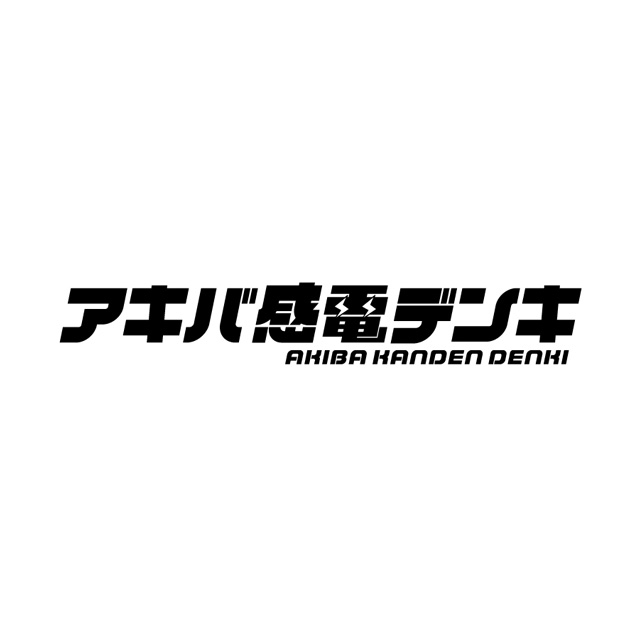 AKIBA KANDEN DENKI